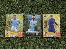 Panini Premier League