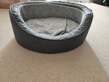 Wainwright's medium oval dog