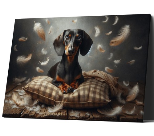 Dachshund sat cushion - sat,