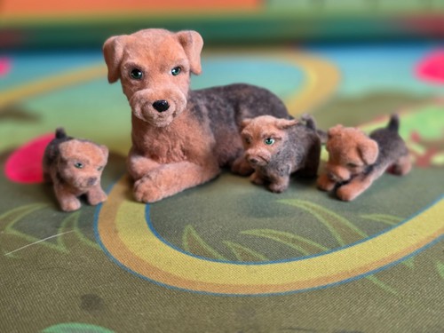 Puppy pocket dog welsh - pocket,