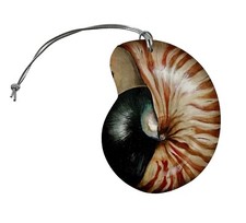 Nautilus Shell Tree Decoration