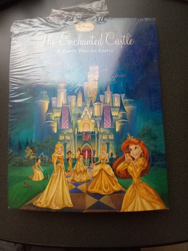 Disney princess the enchanted