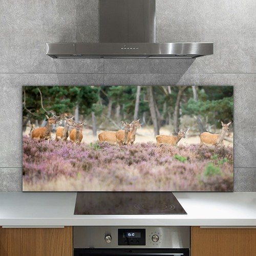 Glass kitchen splashback tile - glass,