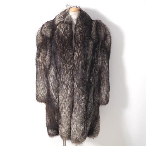 Saga fox gold - saga,