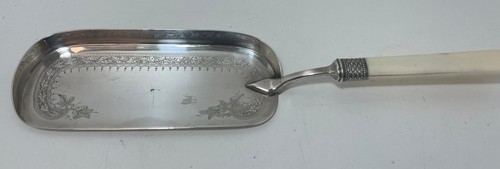 Silver plate crumb tray with - silver,