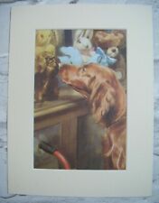 Peter & Jane Dog in Toy Shop Book Print in Mount Vintage 1960's Ladybird (LB7)