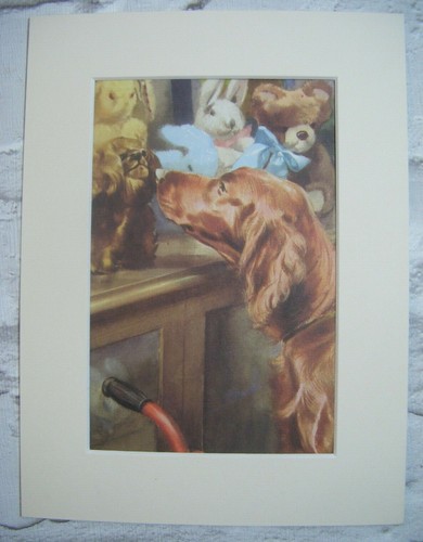 Peter jane dog toy shop - peter,