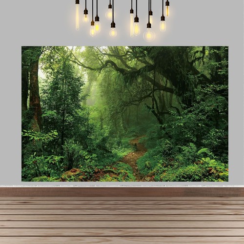 Forest photography background - photography,