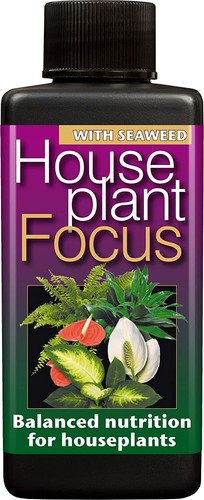 Growth technology houseplant - growth,