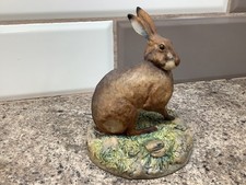 Border Fine Arts Hare by Ray