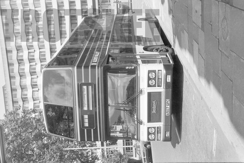 35mm black and white negative - 35mm,