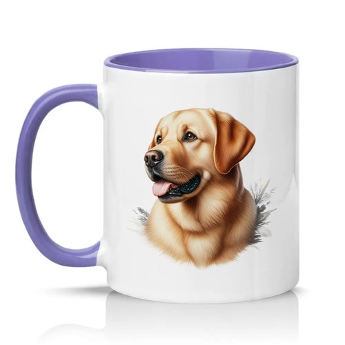Yellow labrador retriever - labrador,
