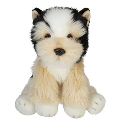 Cute and cuddly - , yorkshire