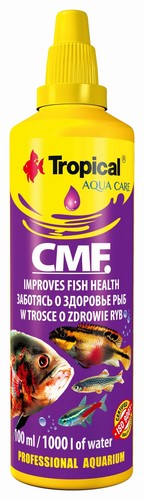 Tropical aquarium fish tank - aquarium,