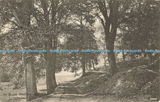 R561826 In Butts Pasture Ashover Valentine Series 1905