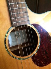 Breedlove AD25 / SM  Electro-Acoustic Guitar