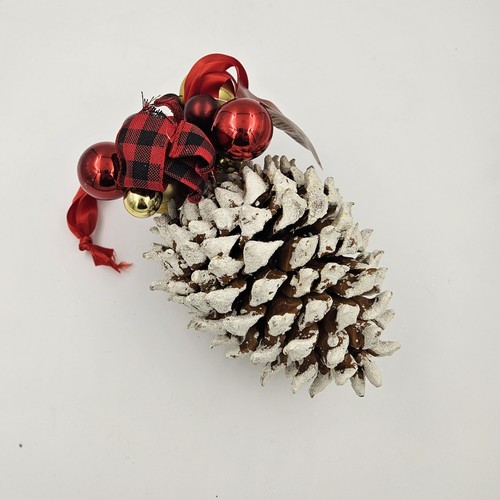 Giant frosted pine cone - frosted,