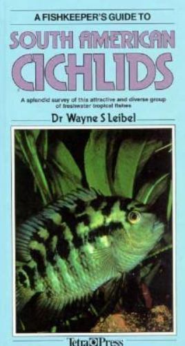 South american cichlids - american,
