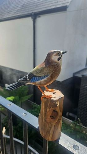 Jay bird tree trunk wood - tree,