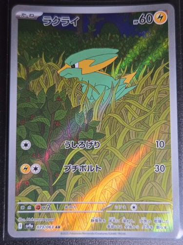 Pokemon electrike 073 - ar, 073/063