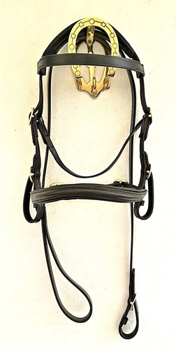 Shetland inhand leather - leather, show