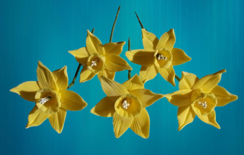 Wired sugar daffodils - 5,