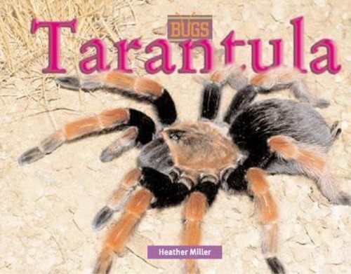 Tarantula hardcover heather - hardcover,