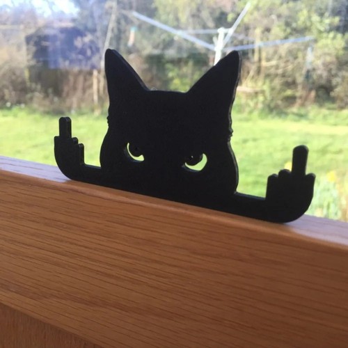 Funny black cat fence - funny,