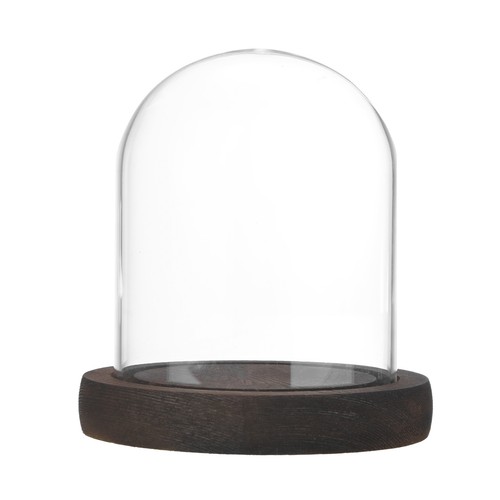 Cloche glass dome - glass, dome,