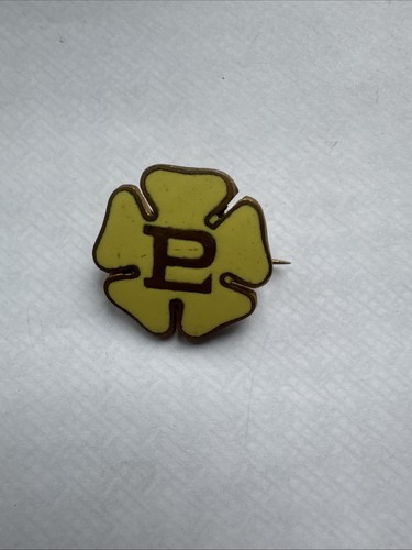 Vintage primrose league - primrose, enamel
