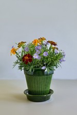 Bergs Potter Glazed Green