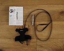 Rabbitgoo Cat Harness with Lead / Leash Set Walking - Size XS Black + Laser Toy