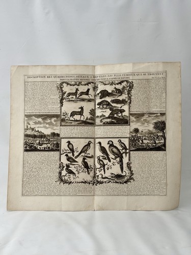 1719 châtelain antique - 1719,