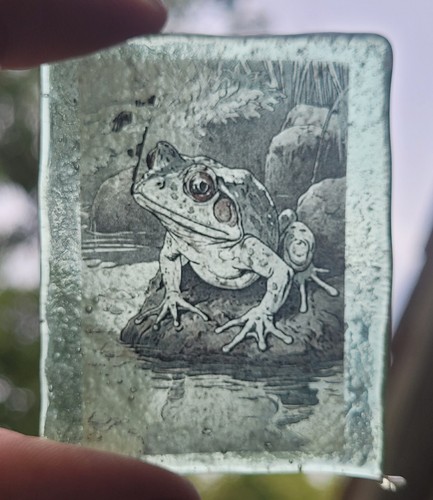 Stained glass frog - glass, piece