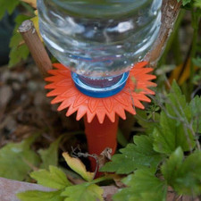 Pack of 6 Watering Spikes -
