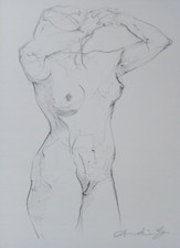 Original pencil drawing of a