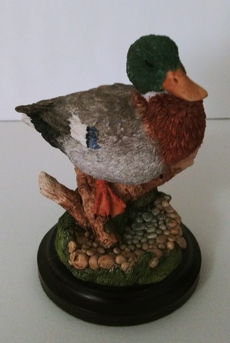 Country artists mallard - artists, duck