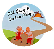 Motor Home Sticker Camper Van