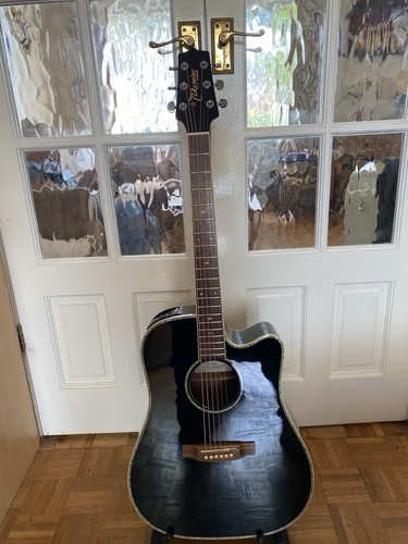 Takamine electro acoustic - takamine, electro-acoustic