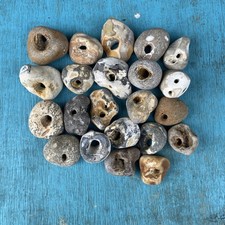 Twenty natural hag stones - twenty,