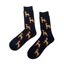 IRISH TERRIER BLACK SOCKS DOG