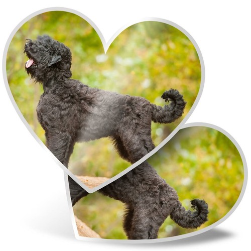 Heart stickers cm - heart,