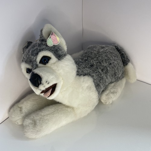 Aliki wolf husky soft - husky, rare