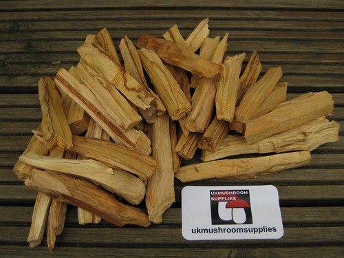 Palo santo bursera - santo, (bursera
