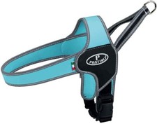 Trixie Pratiko Norwegian Dog