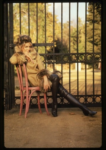 Sheree north seductive pose - seductive,