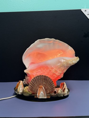 Vintage mid century conch - century,