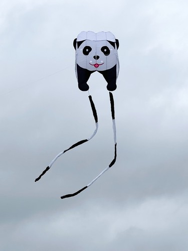 Panda pilot kite and panda