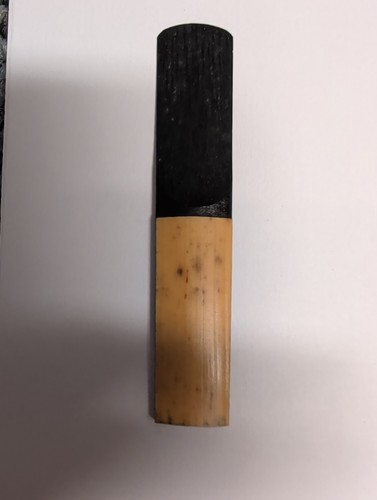 Rico plasticover clarinet reed - rico,