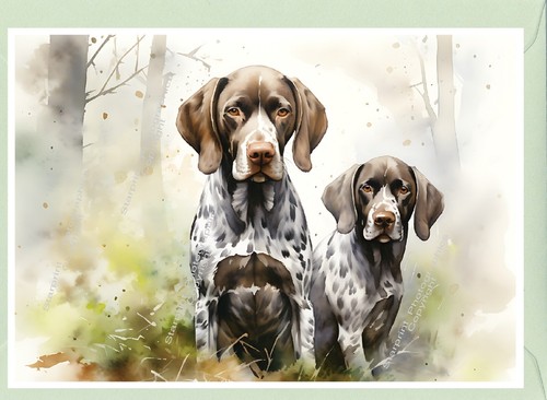 German shorthaired pointer - pointer, dog